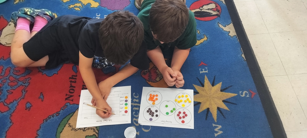 Grade 3 graphing