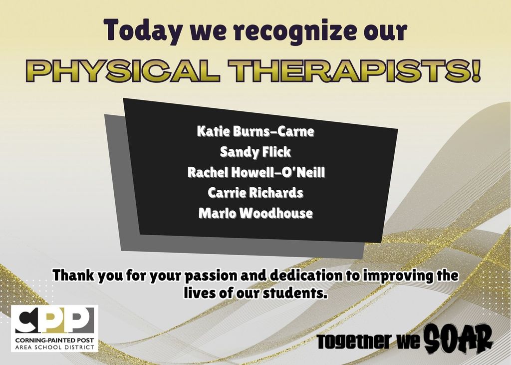 Physical Therapists