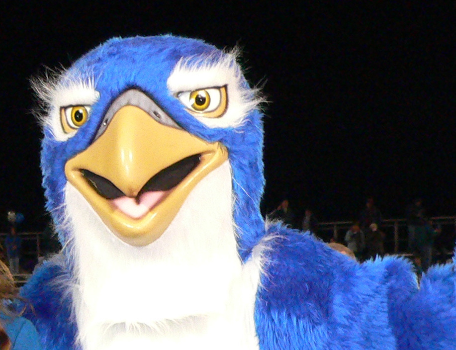 Falon mascot