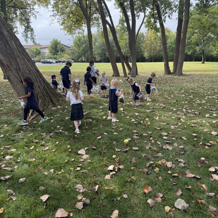 leaf hunting