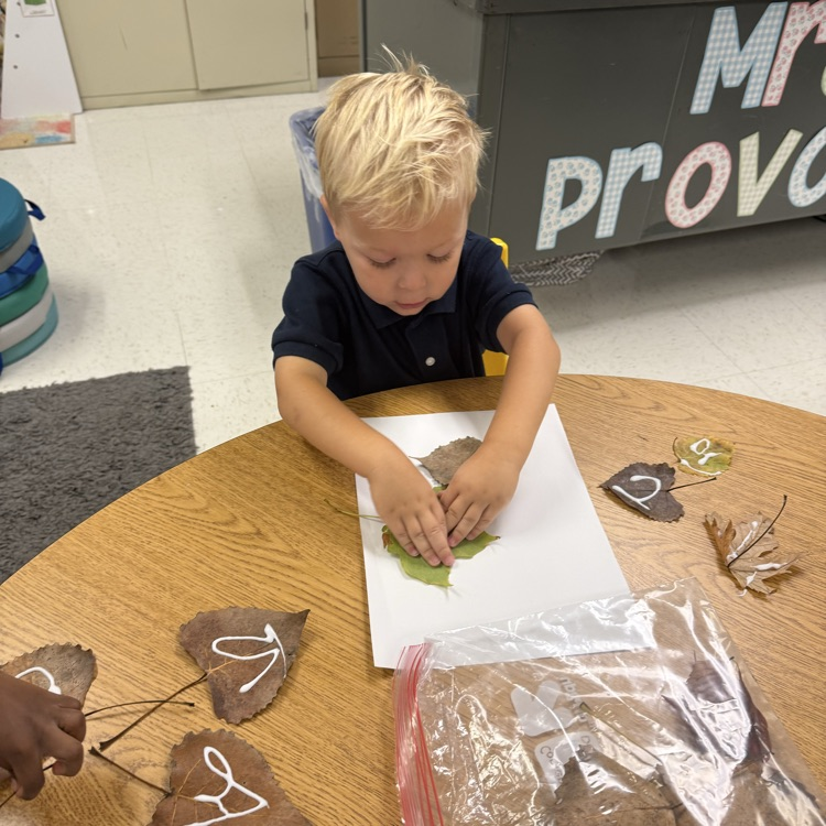 making leaf man pictures