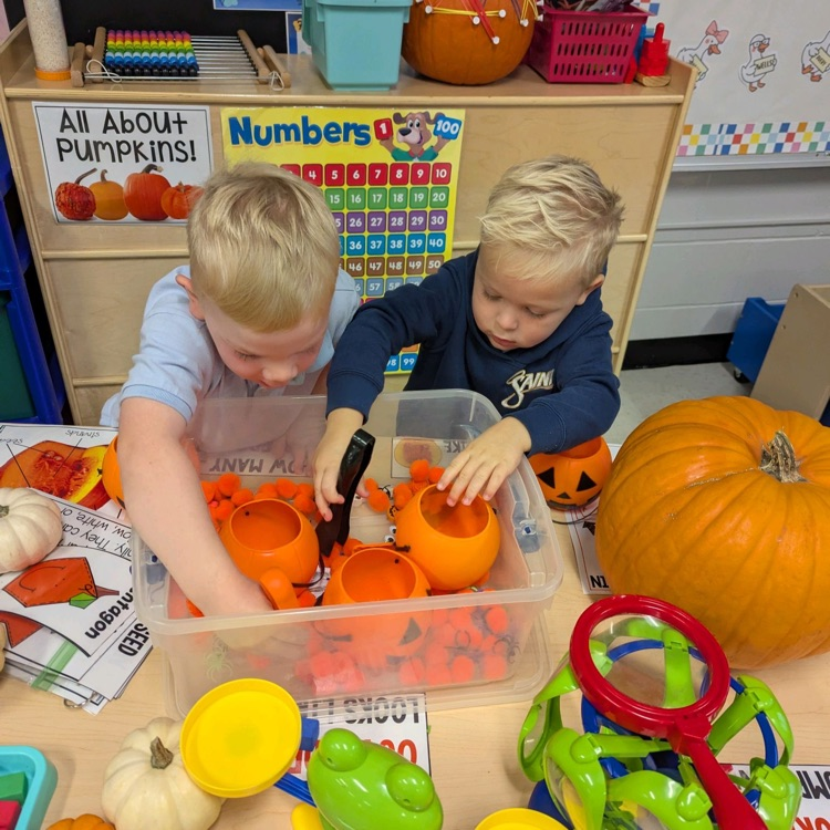 all things Halloween!