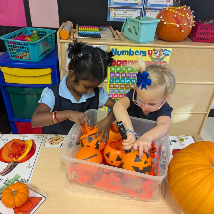 all things Halloween!