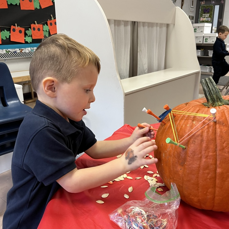 PreK 3 loved making a geoboard out of pumpkins.