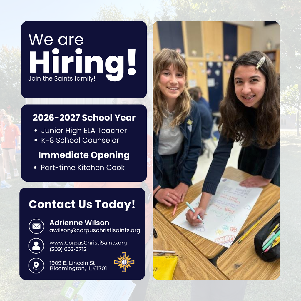 Brown and White Modern Professional Hiring Instagram Post (2)