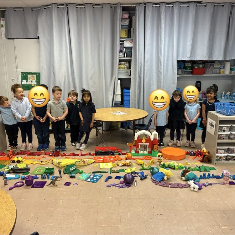 PreK 3 made a rainbow out of toys !