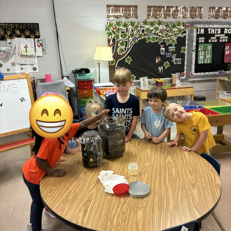 We created worm farms!