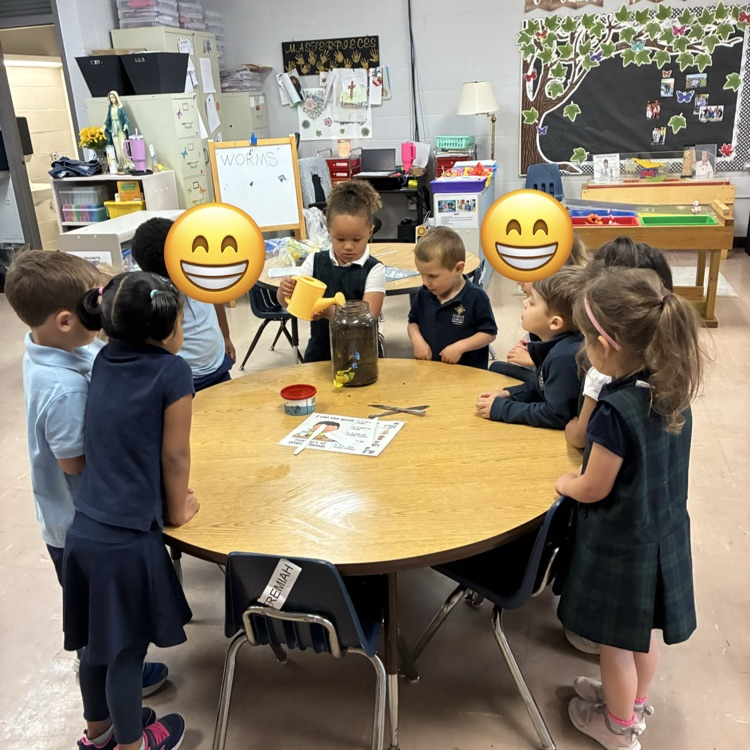 We created worm farms!