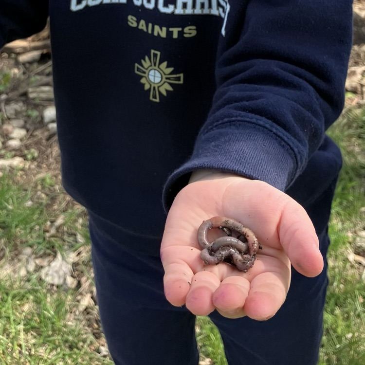 We loved digging for worms outside!