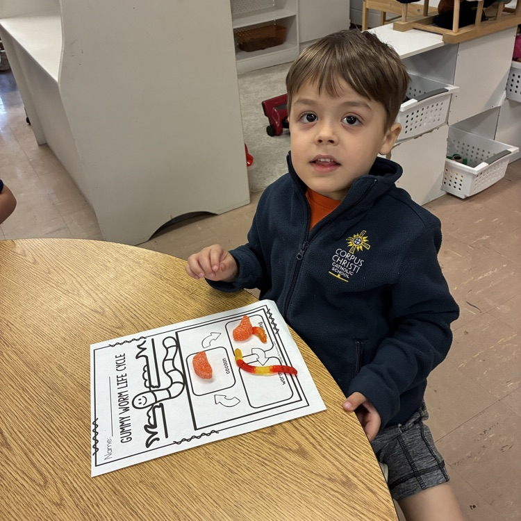We created the life cycle of a worm with candy!