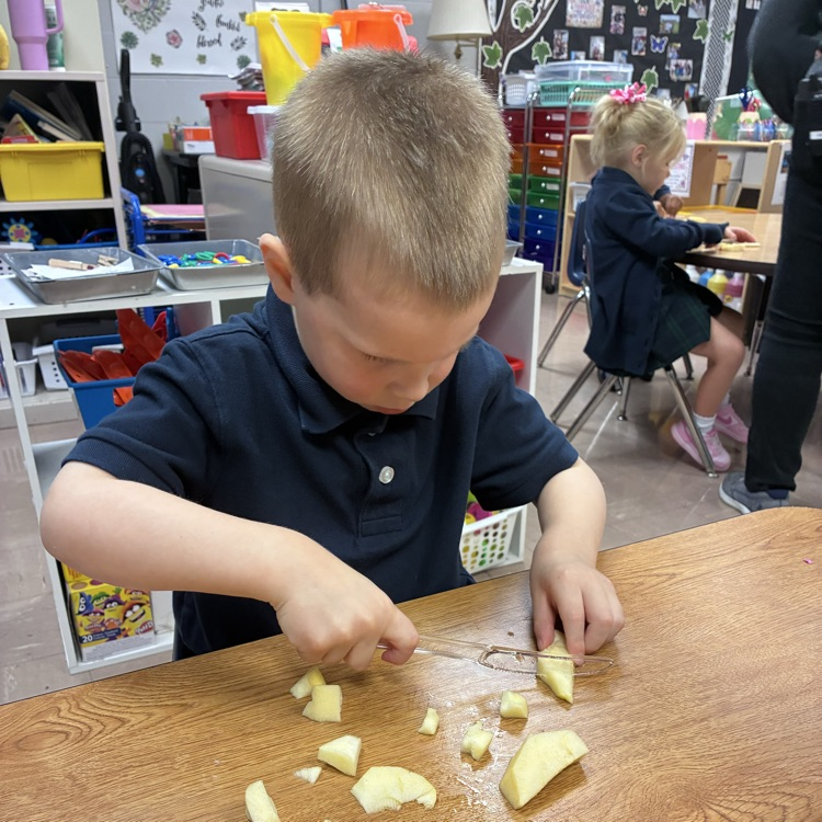 We made homemade applesauce !