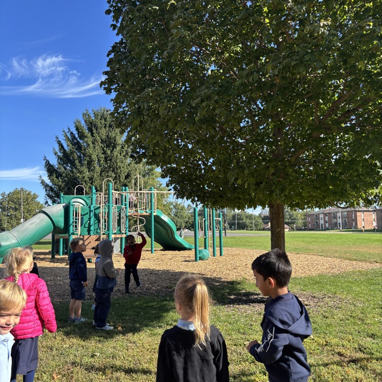 trying to see our spiderweb.