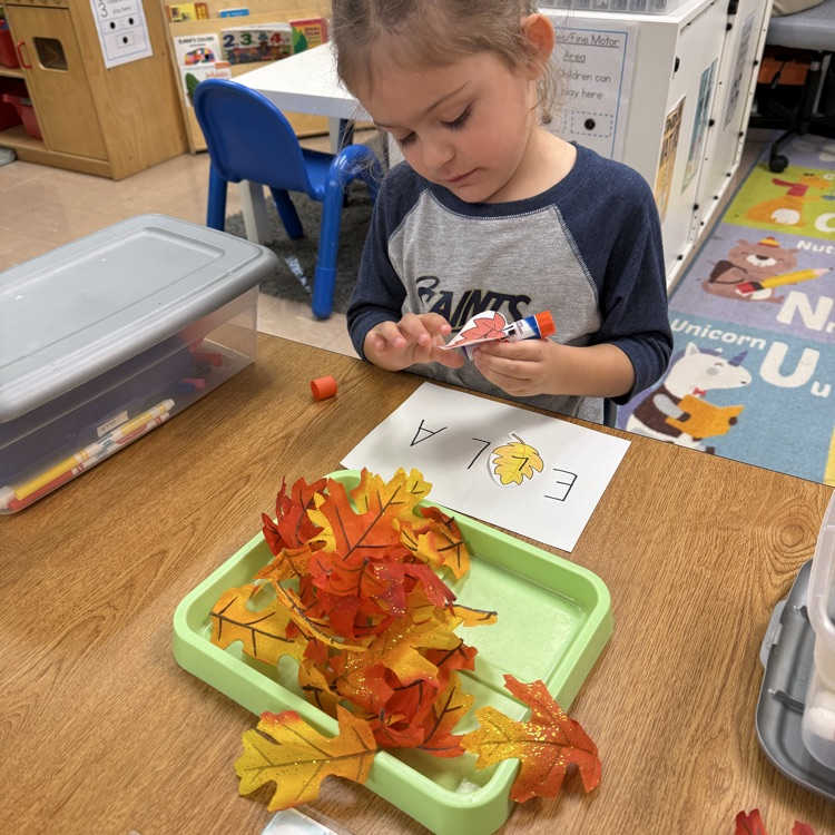 leaf learning centers