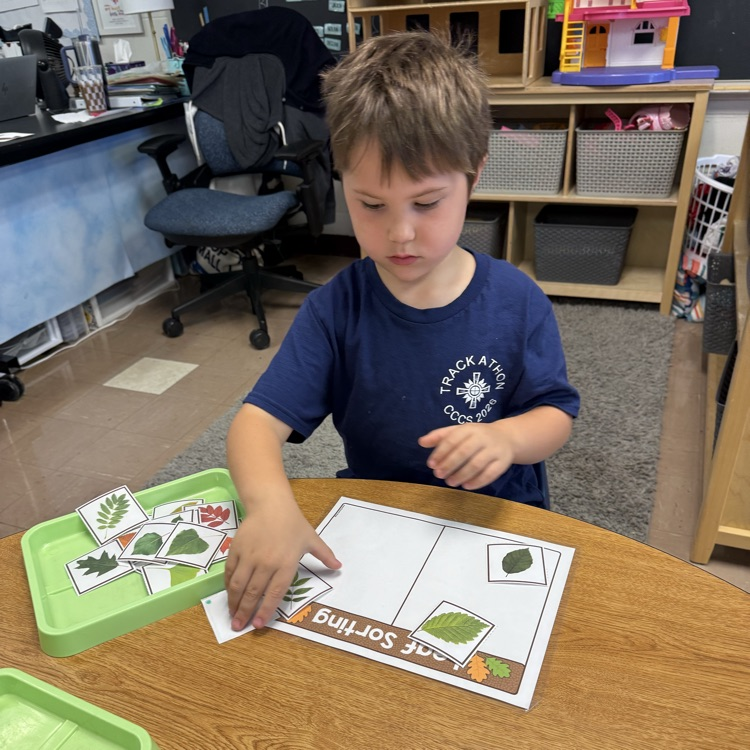 leaf learning centers