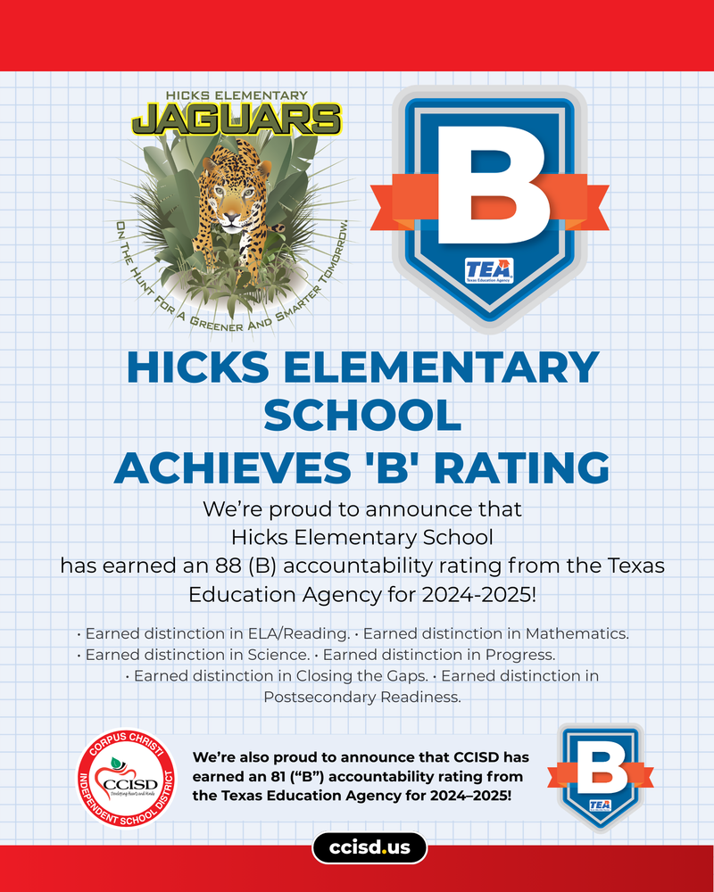 Hicks ES "B" Rating
