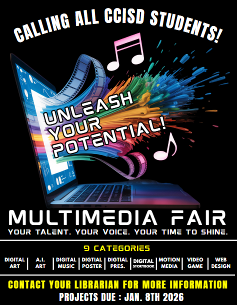 Multimedia Fair Flyer