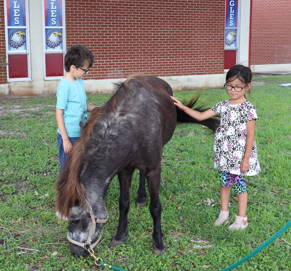 Blanche Moore petting zoo