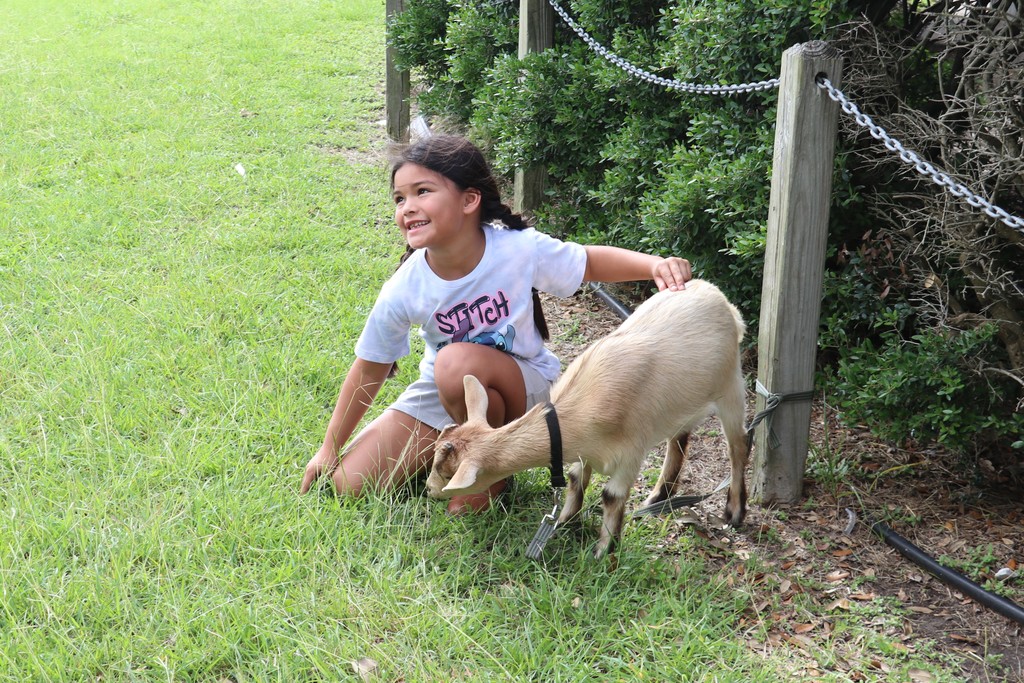 Blanche moore petting zoo.