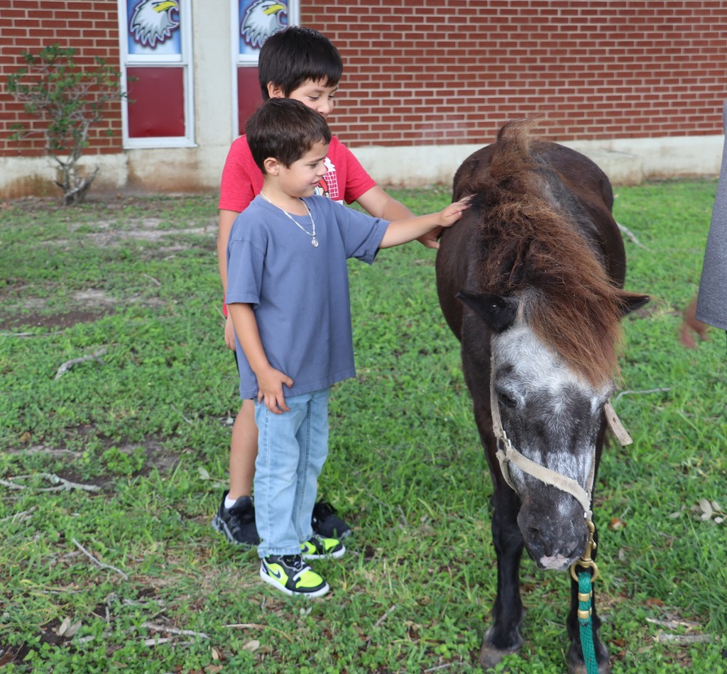 Blanche Moore petting zoo