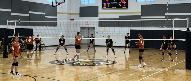 Lady Wolves VB