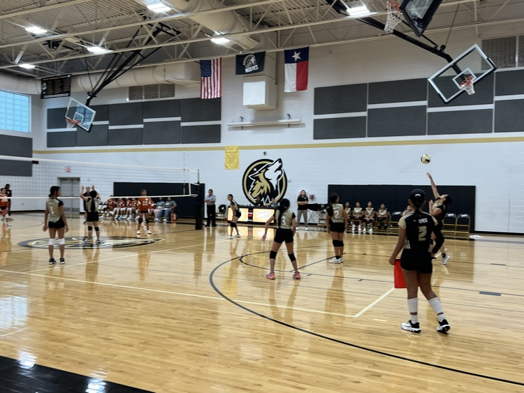 Lady Wolves VB