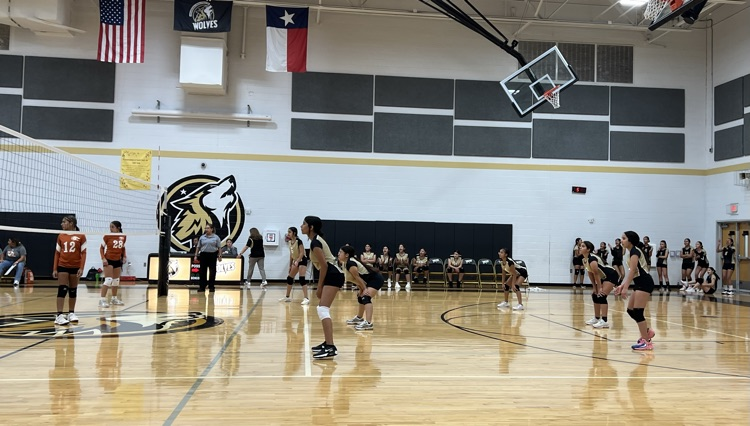 Lady Wolves VB