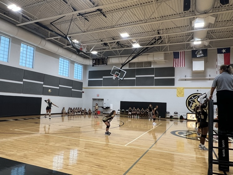 Lady Wolves VB