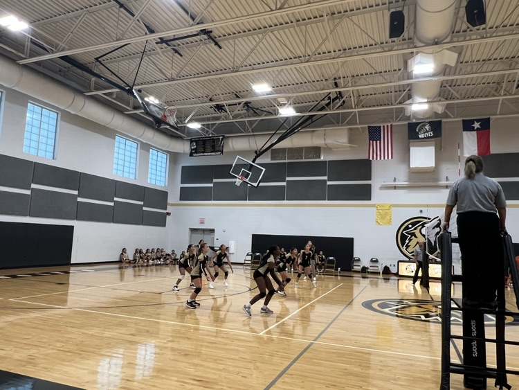 Lady Wolves VB