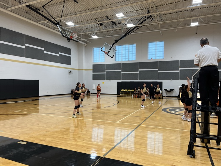 Lady Wolves VB