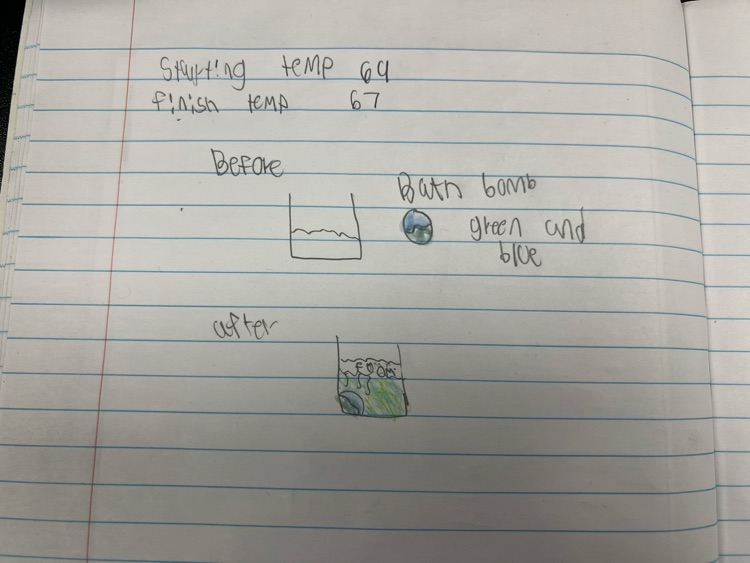stem
