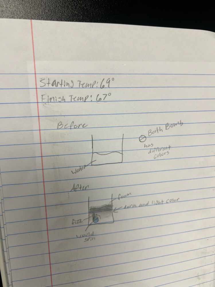 stem