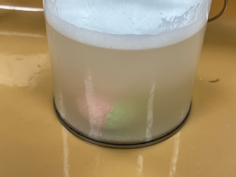 stem