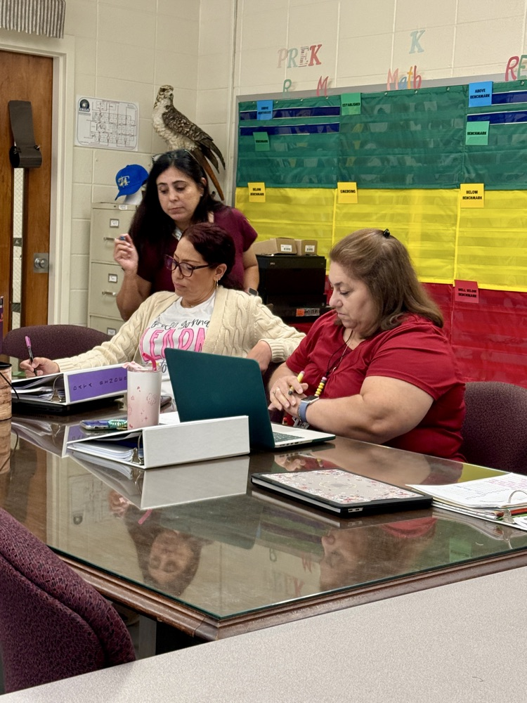 academic monitoring practice clinics.