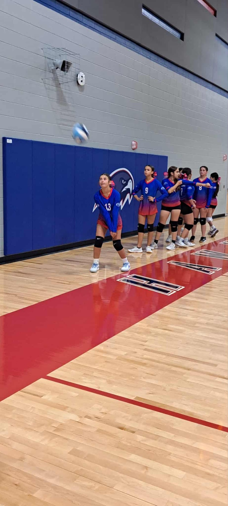 vb