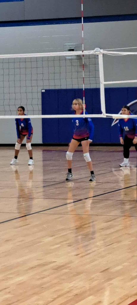 vb