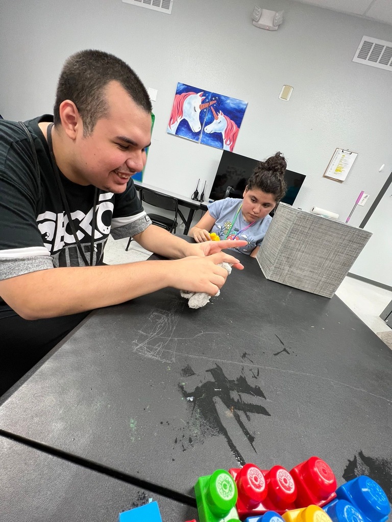 choice living volunteers