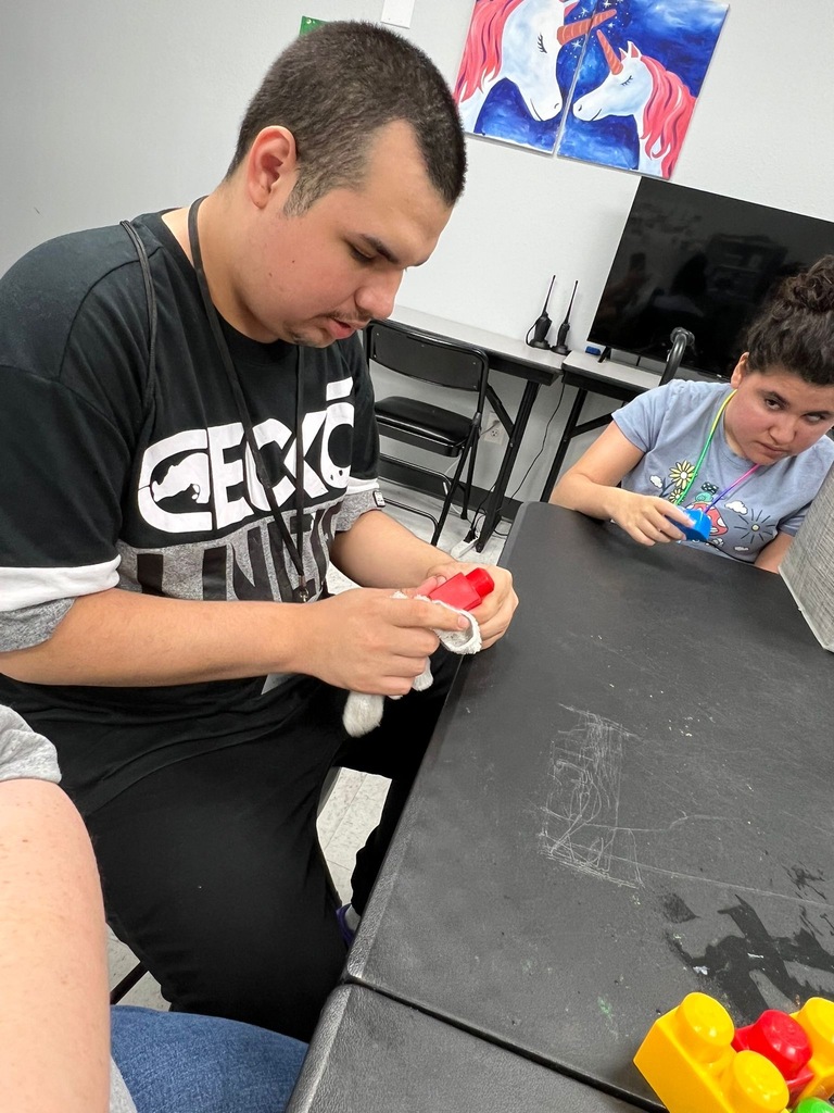 choice living volunteers