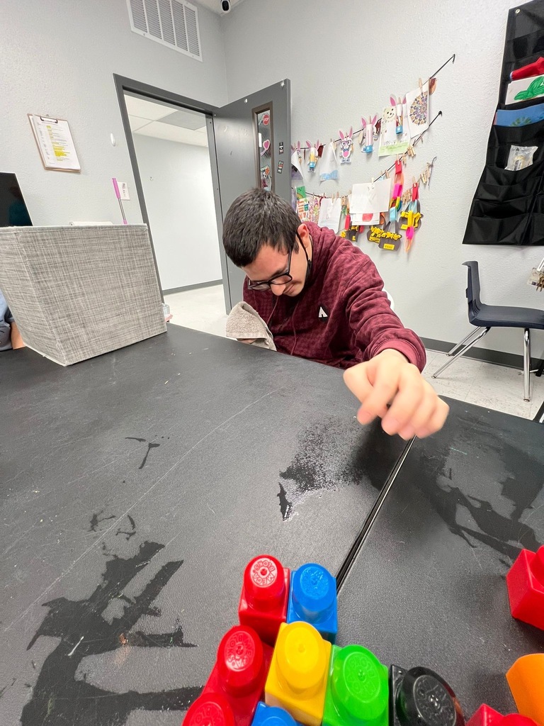 choice living volunteers