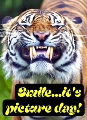 Social media post with image of a roaring tiger showing its fangs. Text reads "Say 'CHEESE' not 'HELP!' with cheese emoji, followed by hashtags PictureDay and SmileOrGrowl."