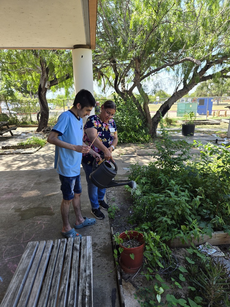 garden