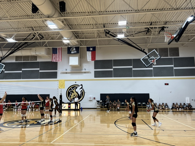 lady Wolves