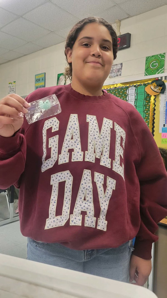PBIS point redemption day 