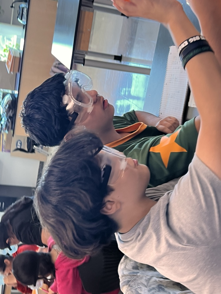 stem