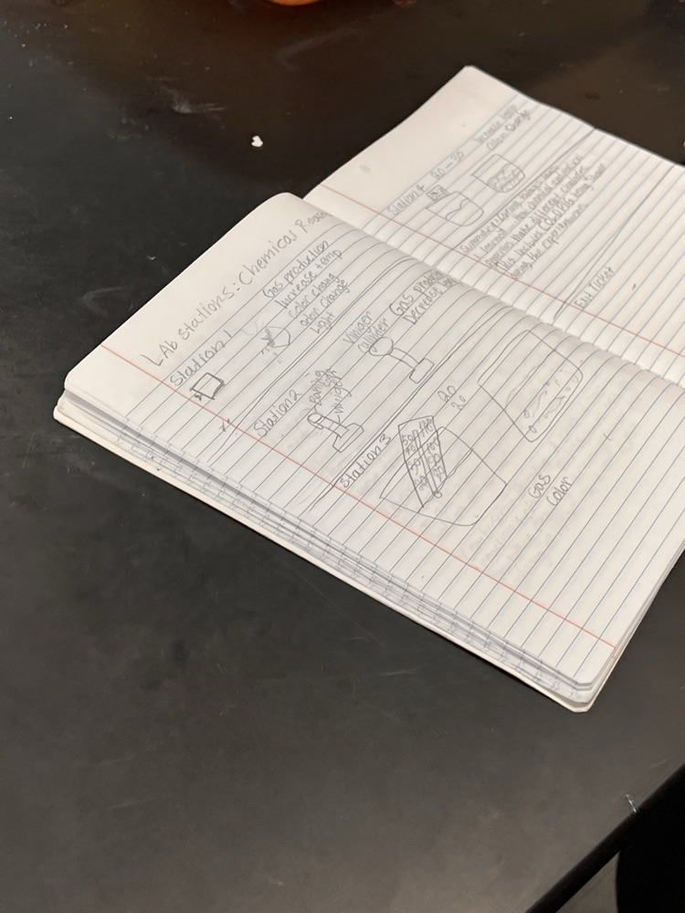 stem