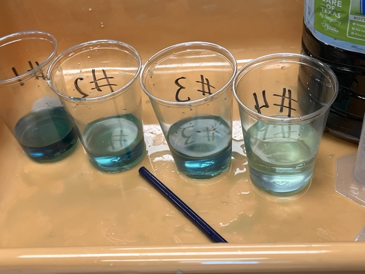 lab