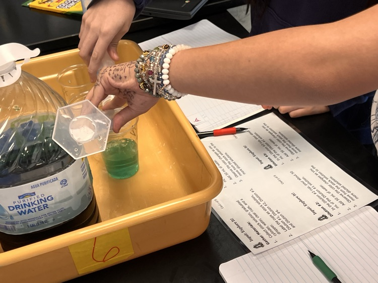 lab
