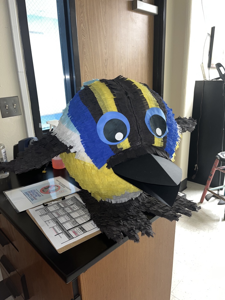 Pinata