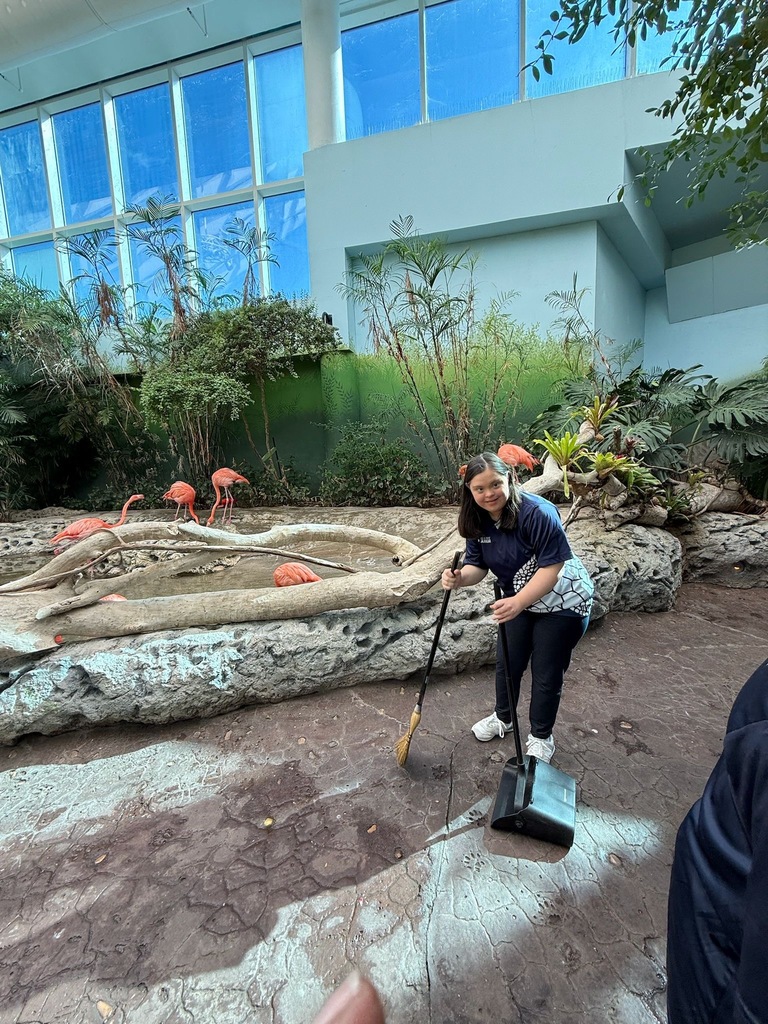 aquarium volunteers