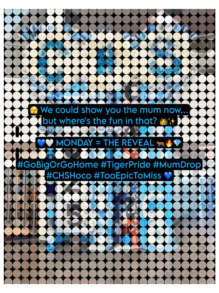 Carroll High School Homecoming teaser graphic with text announcing big mum reveal on Monday. Includes blue and white tiger-themed hashtags