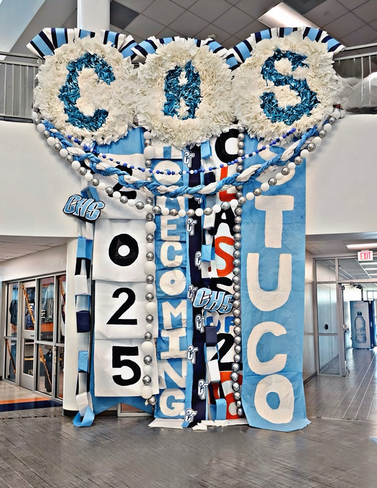 “Blue and white Carroll HS mum with ribbons and sparkle accents.”